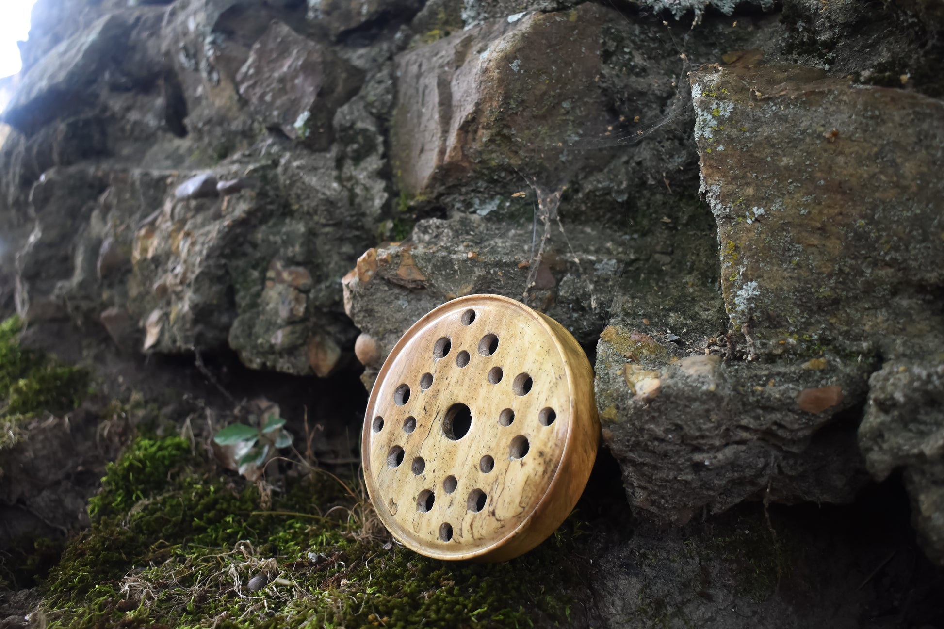 Spalted Tamarind Friction Call
